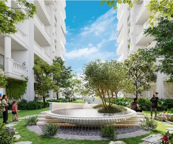 Wellness in your surroundings